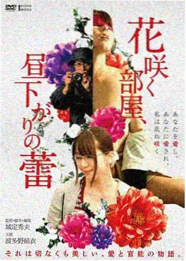 神偷奶爸3 神偷奶爸观看顺序